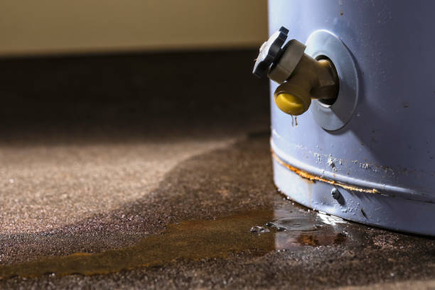 Best Water damage restoration near me  in Veazie, ME
