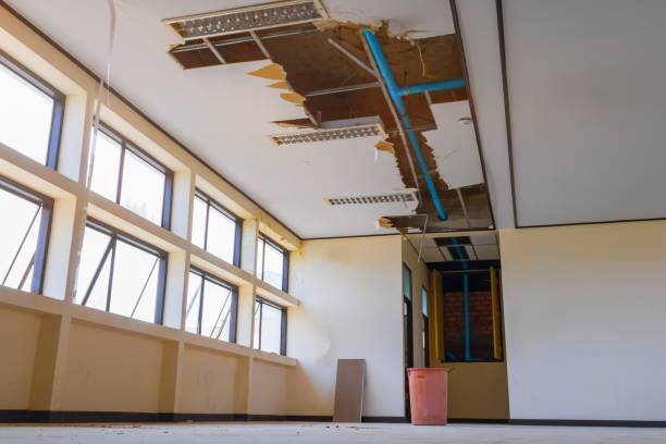 Best Basement water damage restoration  in Veazie, ME