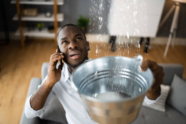  Veazie, ME Water damage restoration Pros