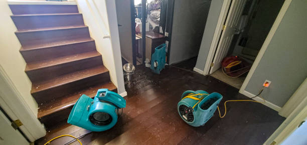 Best Flood restoration services  in Veazie, ME