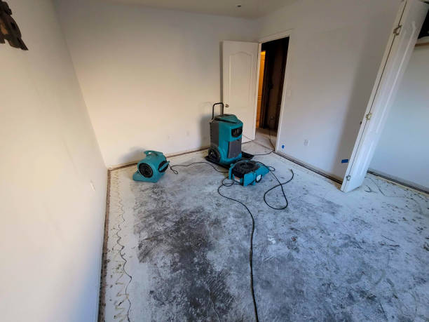 Best Sewage cleanup and water damage restoration  in Veazie, ME