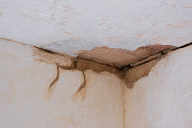Best Water damage restoration cost  in Veazie, ME
