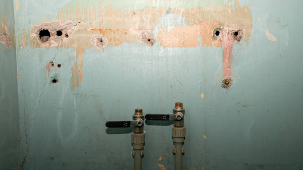 Best Fire Damage Restoration  in Veazie, ME