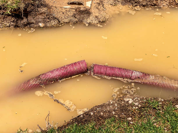 Best Carpet water damage restoration  in Veazie, ME