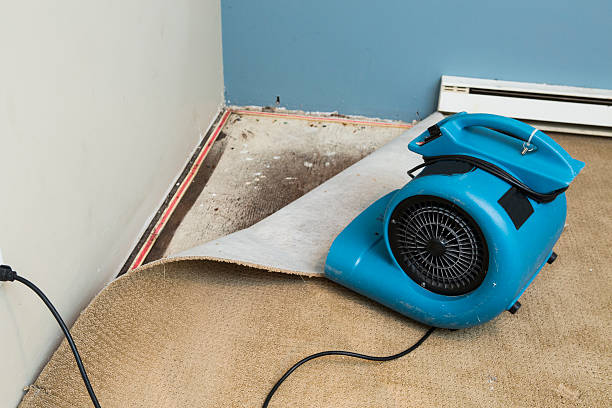 Best Local water damage restoration  in Veazie, ME